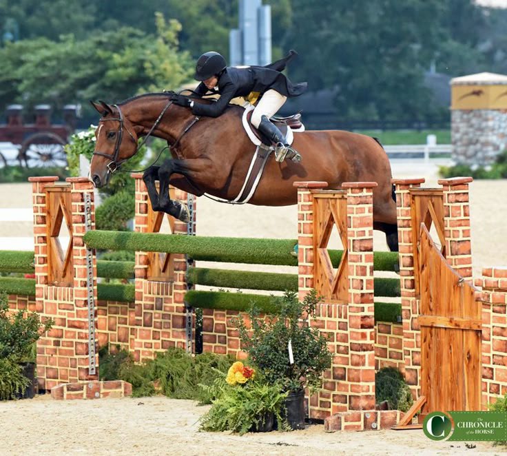 Oxer s kytkami 