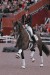 Valegro